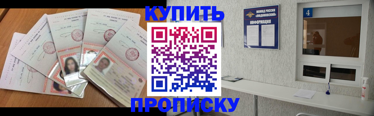 где прописаться в Щёкино
